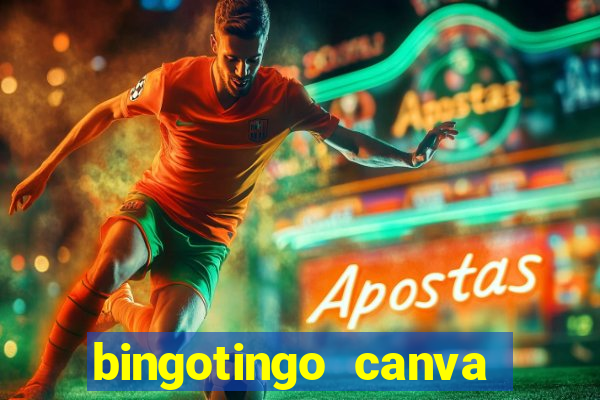 bingotingo canva pro gratis